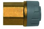 Polyplumb Female Adaptor (Brass)