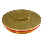 Immersion Plug & Washer